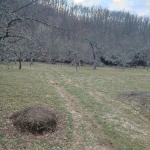 Парцел в Радомир - 3007 кв.м за 25 €/кв.м - Снимка #1