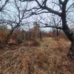 Къща в с. Паталеница, Област Пазарджик - 26 кв.м за 433 €/кв.м - Снимка #1