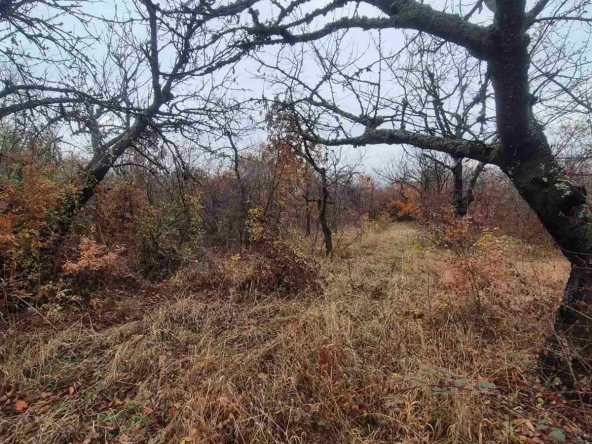 Къща в с. Паталеница, Област Пазарджик - 26 кв.м за 433 €/кв.м - Снимка #1