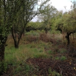 Парцел в с. Долна Диканя, Област Перник - 710 кв.м за 20 €/кв.м - Снимка #1