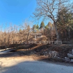 Парцел в с. Гълъбово, Област Пловдив - 1800 кв.м за 85 €/кв.м - Снимка #1