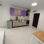 Едностаен апартамент в Варна, Виница - 30 кв.м за 9 €/кв.м - Снимка #1