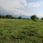 Земеделски имот в с. Леново, Област Пловдив -  кв.м за 6 €/дка - Снимка #1