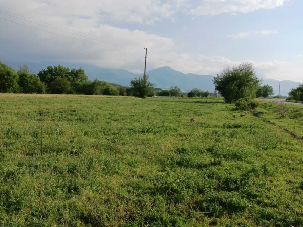 Земеделски имот в с. Леново, Област Пловдив -  кв.м за 6 €/дка - Снимка #1