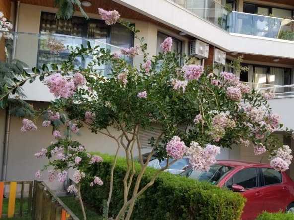 Двустаен апартамент в Варна, Бриз - 64 кв.м за 2797 €/кв.м - Снимка #1