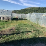 Парцел в Батановци - 2900 кв.м за 17 €/кв.м - Снимка #1