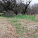 Парцел в с. Големо Бучино, Област Перник - 648 кв.м за 57 €/кв.м - Снимка #1