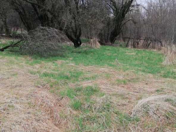 Парцел в с. Големо Бучино, Област Перник - 648 кв.м за 57 €/кв.м - Снимка #1