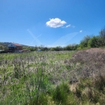 Парцел в Хисаря - 2020 кв.м за 38 €/кв.м - Снимка #1