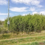 Парцел в с. Бобораци, Област Перник - 1240 кв.м за 16 €/кв.м - Снимка #1