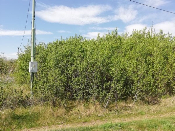 Парцел в с. Бобораци, Област Перник - 1240 кв.м за 16 €/кв.м - Снимка #1