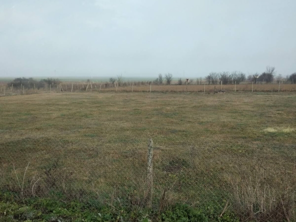 Земеделски имот в София, 7-ми 11-ти километър -  кв.м за 12 €/дка - Снимка #1