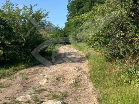 Парцел в с. Въглен, Област Варна - 9000 кв.м за 3 €/кв.м - Снимка #1