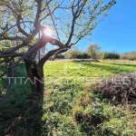 Парцел в с. Добростан, Област Пловдив - 629 кв.м за 47 €/кв.м - Снимка #1