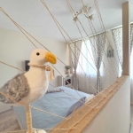 Едностаен апартамент в с. Равда, Област Бургас - 38 кв.м за 1448 €/кв.м - Снимка #1