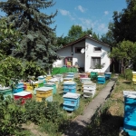 Къща в с. Ново Янково, Област Шумен - 40 кв.м за 638 €/кв.м - Снимка #1