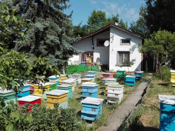 Къща в с. Ново Янково, Област Шумен - 40 кв.м за 638 €/кв.м - Снимка #1