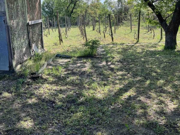 Къща в Разград, Варош - 600 кв.м за 64 €/кв.м - Снимка #1