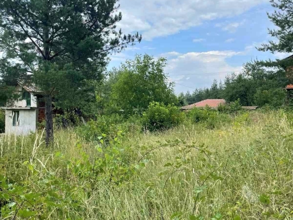 Парцел в Кюстендил, Колуша - 1000 кв.м за 30 €/кв.м - Снимка #1