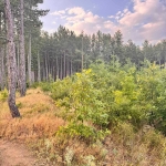 Парцел в Банкя - 2499 кв.м за 8 €/кв.м - Снимка #1