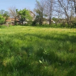 Парцел в с. Гривица, Област Плевен - 667 кв.м за 31 €/кв.м - Снимка #1