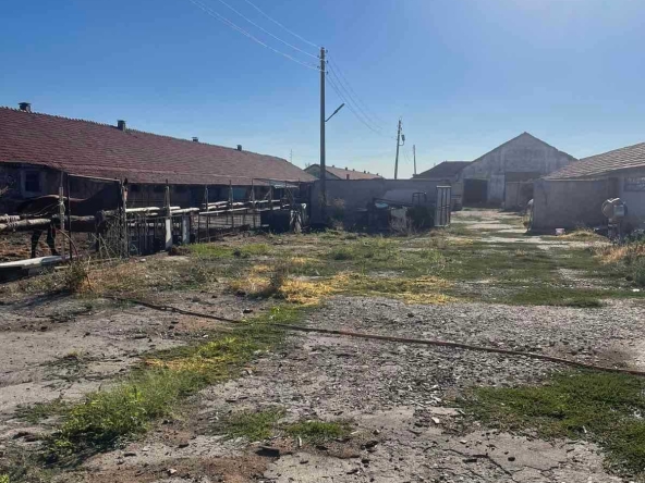 Промишлена сграда в с. Радишево, Област Плевен - 32000 кв.м за 0 €/кв.м - Снимка #1