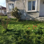 Къща в Павел баня - 52 кв.м за 866 €/кв.м - Снимка #1