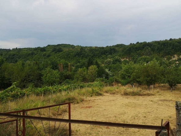 Парцел в Велико Търново, Бузлуджа - 1290 кв.м за 28 €/кв.м - Снимка #1