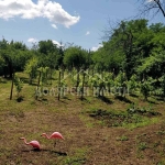 Парцел в Велико Търново, Зона Б - 1121 кв.м за 108 €/кв.м - Снимка #1