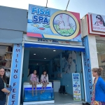 Дава се под наем Заведение в к.к. Златни пясъци - 45 кв.м за 15000 € - Снимка #1