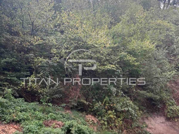 Парцел в Смолян, Станевска махала - 2368 кв.м за 32 €/кв.м - Снимка #1