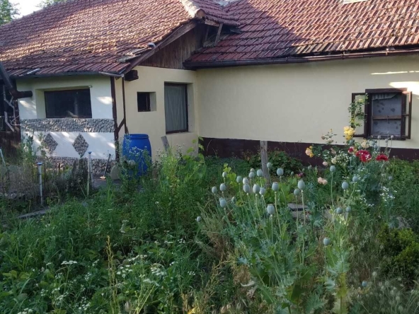 Къща в с. Ушинци, Област Разград - 100 кв.м за 485 €/кв.м - Снимка #1