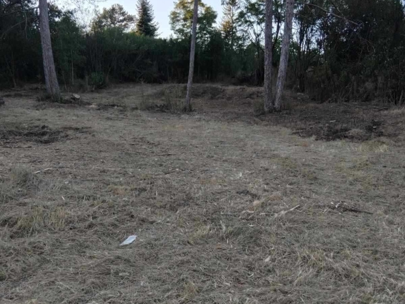 Парцел в София, Надежда 4 - 600 кв.м за 23 €/кв.м - Снимка #1