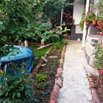 Къща в с. Каменово, Област Разград - 75 кв.м за 267 €/кв.м - Снимка #1