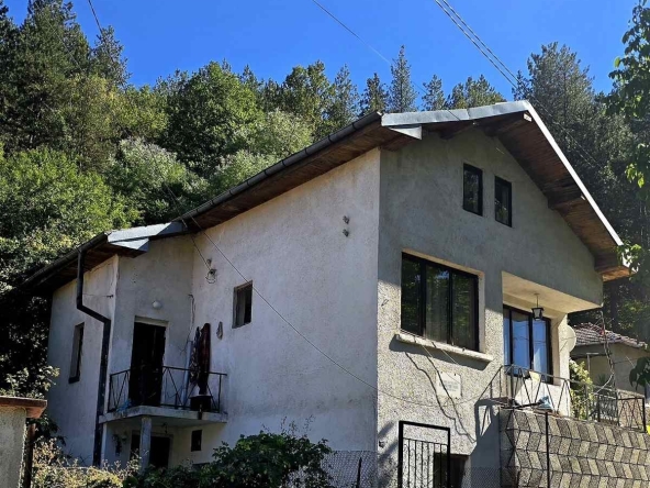 Къща в с. Габровица, Област Пазарджик - 100 кв.м за 750 €/кв.м - Снимка #1