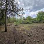 Парцел в с. Баница, Област Враца - 3000 кв.м за 7 €/кв.м - Снимка #1