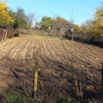 Парцел в с. Манастир, Област Варна - 610 кв.м за 0 €/кв.м - Снимка #1