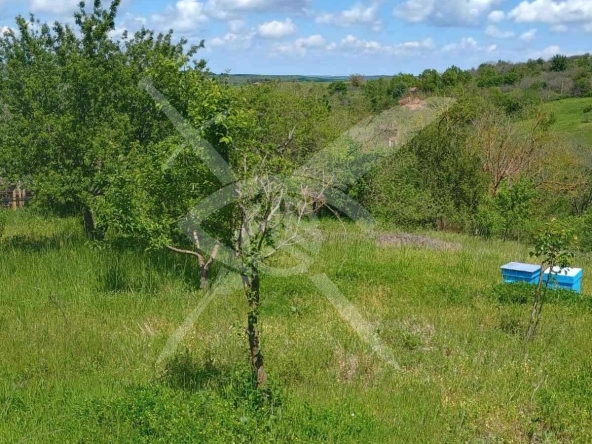 Къща в с. Белила, Област Бургас - 30 кв.м за 374 €/кв.м - Снимка #1