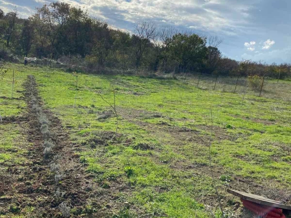 Парцел в с. Лозенец, Област Бургас - 580 кв.м за 37 €/кв.м - Снимка #1