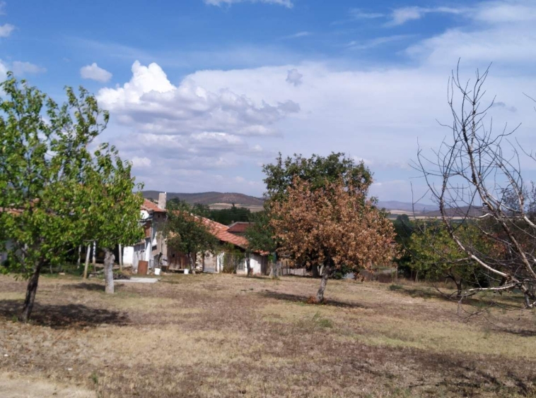 Парцел в с. Арнаутито, Област Стара Загора - 1350 кв.м за 6 €/кв.м - Снимка #1