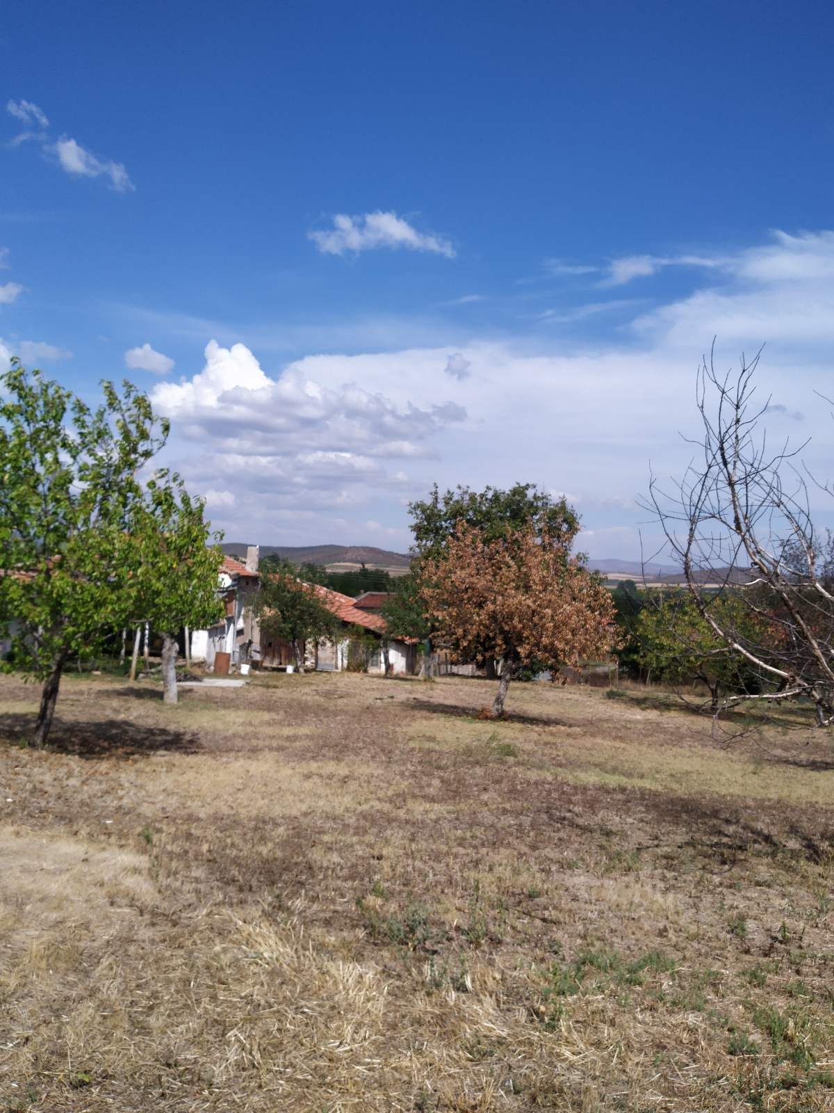 Парцел в с. Арнаутито, Област Стара Загора - 1350 кв.м за 6 €/кв.м - Снимка #1