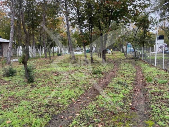 Парцел в Черноморец - 1106 кв.м за 29 €/кв.м - Снимка #1