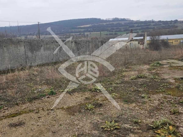 Парцел в с. Белопопци, Област София-област - 7904 кв.м за 26 €/кв.м - Снимка #1