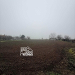 Парцел в с. Загоре, Област Стара Загора - 1660 кв.м за 15 €/кв.м - Снимка #1