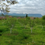 Парцел в с. Лиляче, Област Враца - 1156 кв.м за 10 €/кв.м - Снимка #1