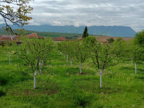 Парцел в с. Лиляче, Област Враца - 1156 кв.м за 10 €/кв.м - Снимка #1