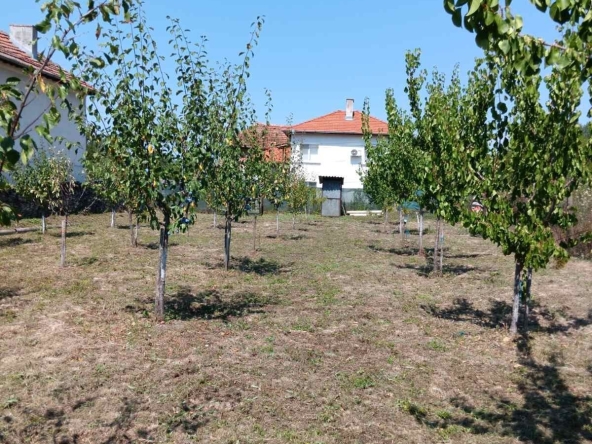Парцел в с. Лиляче, Област Враца - 618 кв.м за 9 €/кв.м - Снимка #1