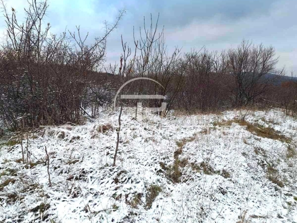 Парцел в Асеновград - 2200 кв.м за 18 €/кв.м - Снимка #1