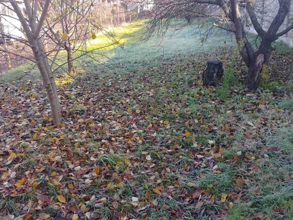 Парцел в Разград, Промишлена зона - Запад - 600 кв.м за 43 €/кв.м - Снимка #1