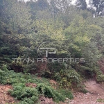 Парцел в Смолян, Станевска махала - 2368 кв.м за 17 €/кв.м - Снимка #1